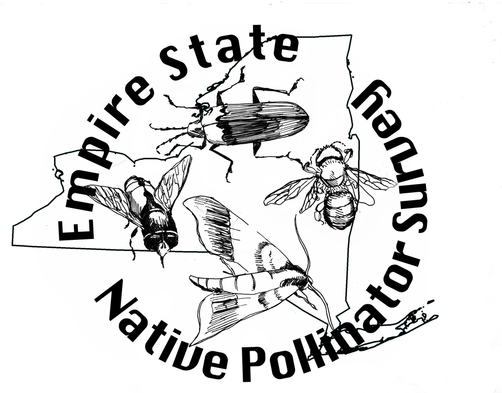 Logo for Empire State Native Pollinator Survey, with line drawings of moths and bees overlaid over New York State